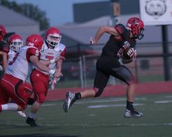 Bearcats