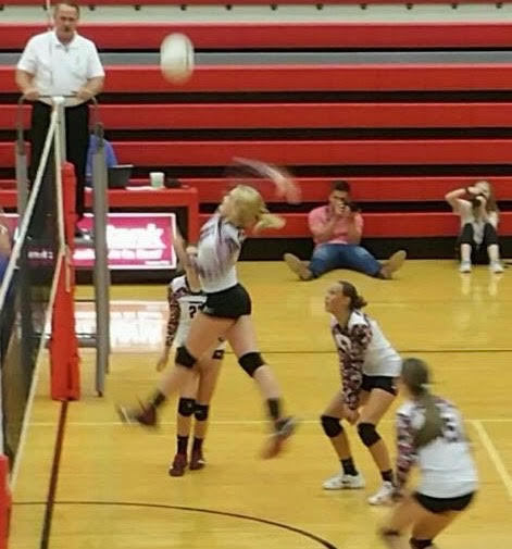 Ladycats fall!