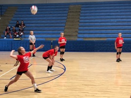 LADYCATS
