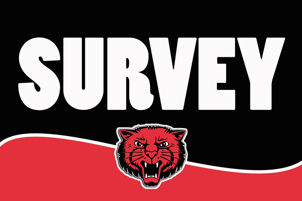 SURVEY