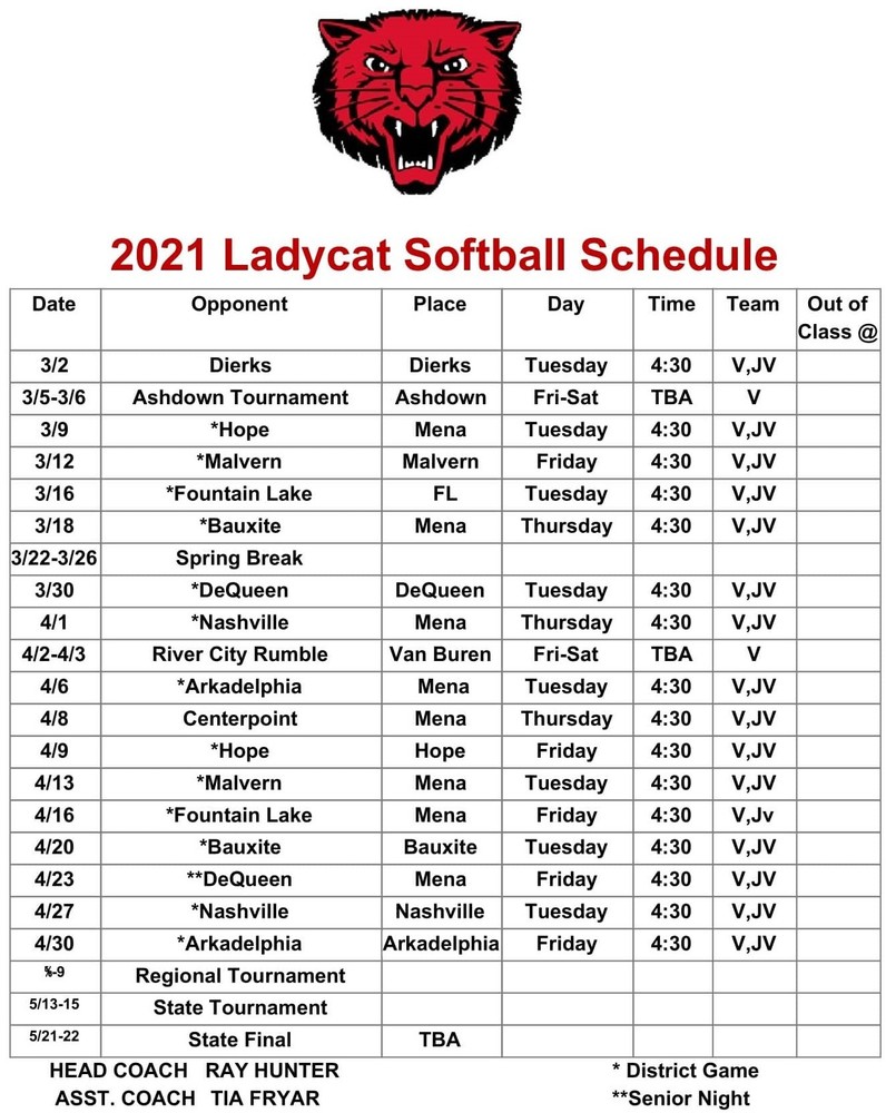 2021 Ladycat Softball !