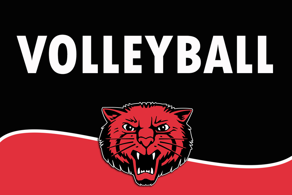 VB