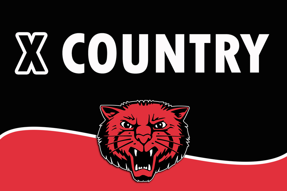 McMellon Leads Bearcats !