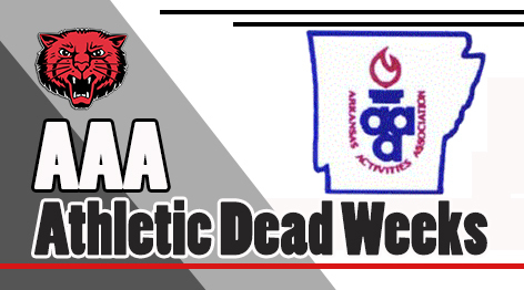 aaa