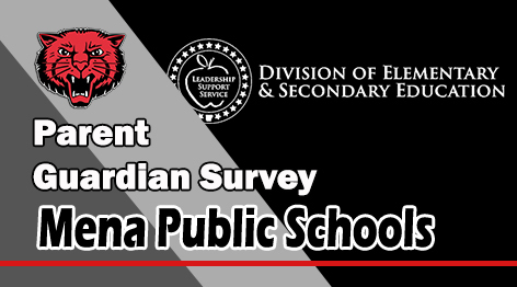 Parent/Guardian Survey