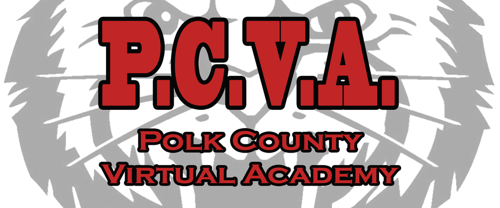 Polk County Virtual Academy 2019 Application!