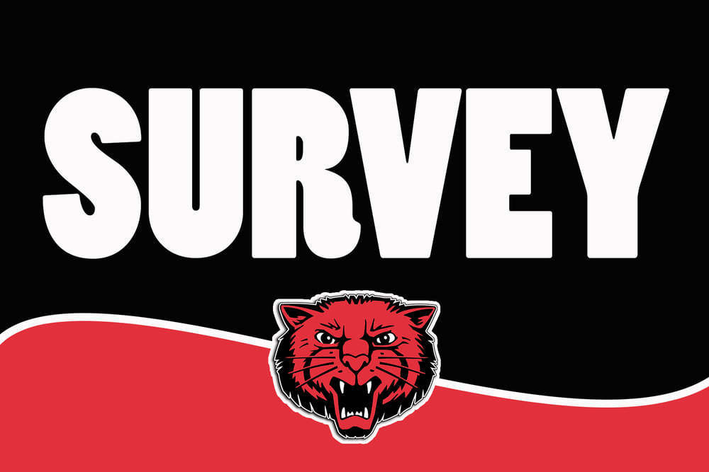 survey