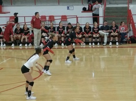 LADYCATS