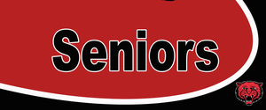 Mena High School Class of 2020!