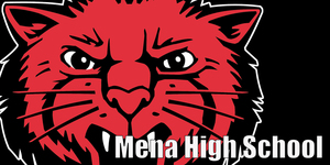 MHS