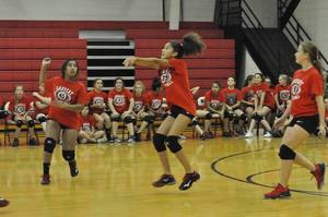 LADYCATS