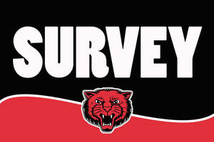 Mena School District American Rescue Plan Stakeholder Survey