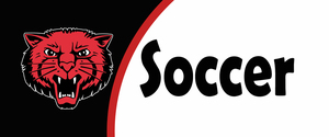 BEARCATS