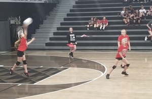 LADYCATS