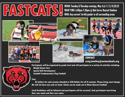 FASTCATS IS BACK !!!!