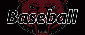 BEARCATS